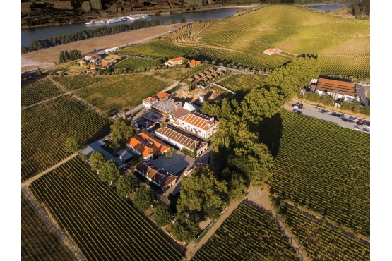 Old Liquors, Quinta da Pachea, Vineyards